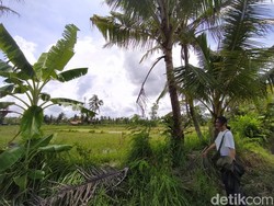 Ganti Rugi Rp 2,2 Juta Diterima Warga Magelang Usai Sawahnya Kena Proyek Tol
