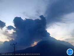 Gunung Lewotobi Laki-laki Erupsi, Tinggi Kolom Letusan Capai 700 Meter