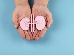 Ternyata Begini Tanda-tanda Ginjal Sehat, Bisa Dilihat dari Urine