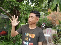 Davis Marthin, Siswa SMA Asal Kupang Penemu Serangga Jenis Baru