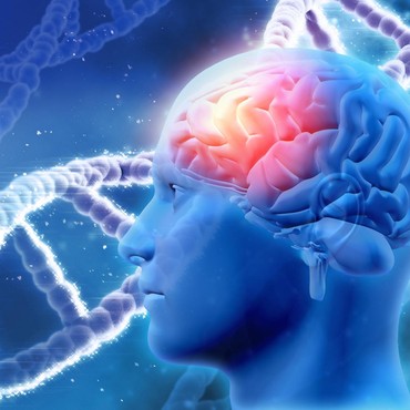 Orang-orang Cerdas dan IQ Tinggi Ternyata Punya 6 Kebiasaan Ini