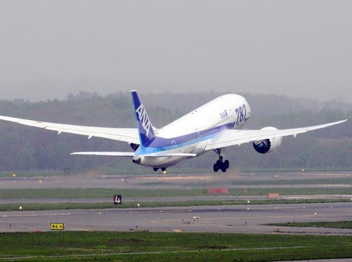 Airbus Recall 6 Ribu Pesawat, Maskapai Jepang Batalkan 65 Penerbangan