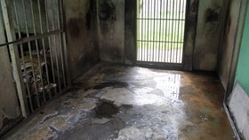 Tata Kelola Medan Zoo Buruk, Kandang Tergenang dan Tanpa Tenaga Medis
