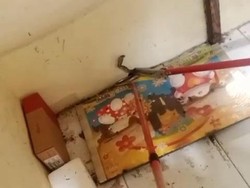 Anak Kobra dan Biawak Ngumpet di Rumah Warga Sukoharjo, Damkar Turun Tangan