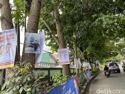 Marak APK Dipaku di Pohon Jalan Nasional Sukabumi Bikin Semrawut
