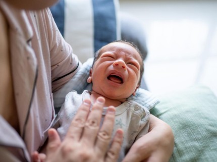 5 Resep Makanan untuk Ibu Menyusui Bayi Kolik, Pilihan Makanan Organik Terbaik