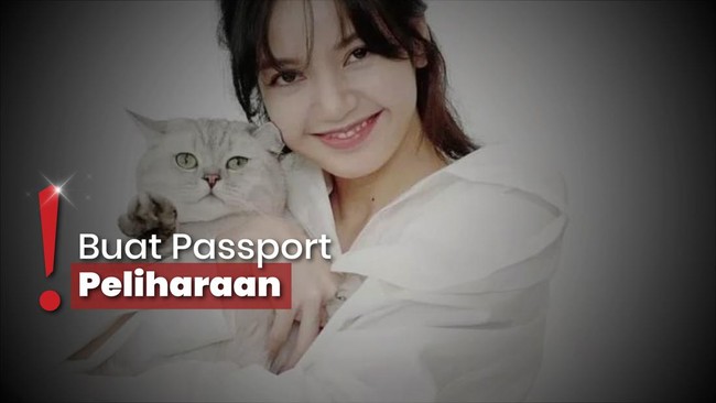 Lisa BLACKPINK Boyong 5 Kucing ke Thailand, Tinggalkan Korea ke Paris?