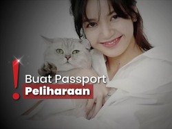 Lisa BLACKPINK Boyong 5 Kucing ke Thailand, Tinggalkan Korea ke Paris?