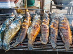 7 Dampak Positif dan Negatif Makan Ikan Lele, Sehatkan Jantung hingga Risiko Usus