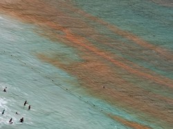 Ngeri! Warna Air Pantai Ini Mendadak Berwarna Merah