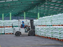 Stok Pupuk Urea-NPK Bersubsidi Aman, Pusri Dukung Musim Tanam