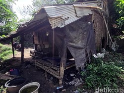 Melacak Lokasi Jagal Anjing Liar di Tengah Hutan Sukabumi