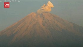 VIDEO: Gunung Semeru Erupsi, Kolom Abu Mencapai 600 Meter