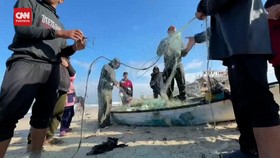 VIDEO: Agresi Israel, Warga Gaza Bertaruh Nyawa Cari Ikan di Laut