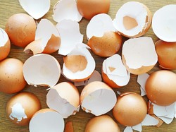 4 Manfaat Cangkang Telur untuk Rumah yang Jarang Orang Tahu