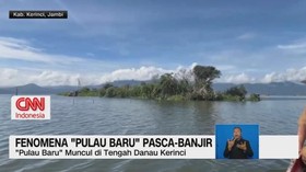 VIDEO: Fenomena 