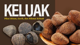 INFOGRAFIS: Pikat Hitam, Gurih, dan Nikmat Keluak