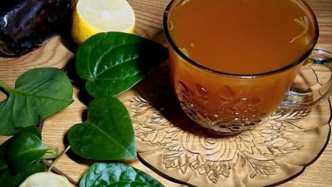 Anda bisa mendapatkan banyak manfaat kesehatan dari konsumsi air rebusan daun sirih.
