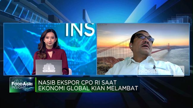 Uni Eropa Jegal Ekspor CPO RI, Pemerintah dan Pengusaha Siap Hadapi!