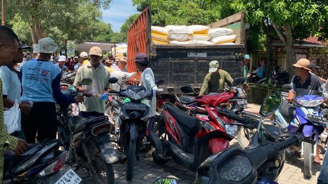 Relawan Prabowo Peduli Tani (RPPP) menjual 50 ton pupuk murah di dua kecamatan di Madiun untuk membantu para petani yang sulit mendapatkan pupuk bersubsidi.