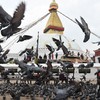Nepal, Negeri 'Seribu Kuil' Dilanda Chaos Akibat Korupsi & Kesenjangan
