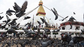 Nepal, Negeri 'Seribu Kuil' Dilanda Chaos Akibat Korupsi & Kesenjangan