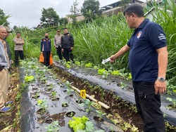 Aksi Uyun Curi Kambing Berujung Tewas Jatuh ke Tebing di Bandung