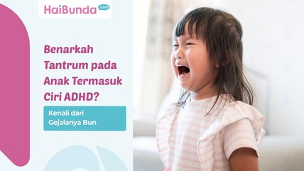 Detik Network