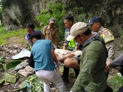 Sejoli Bule Celaka di Jurang Nusa Penida, Ceweknya Meninggal Dunia