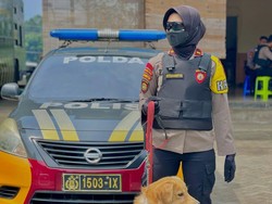 Disebut Punya 2 Sisi Berbeda, 7 Potret Polwan Febryanti Siang Ukthi Malam Berseragam