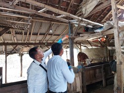 Siswa SD Banyuwangi Ditemukan Tewas Gantung Diri di Kandang Sapi