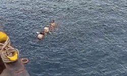 Momen Dramatis 3 Sekawan Terombang-ambing di Samudera Hindia
