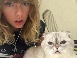 Imbas Foto Mesum Taylor Swift Rekayasa AI, Politisi Desak Aturan Baru