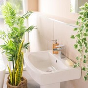 5 Tanaman Hias yang Cocok Disimpan di Kamar Mandi