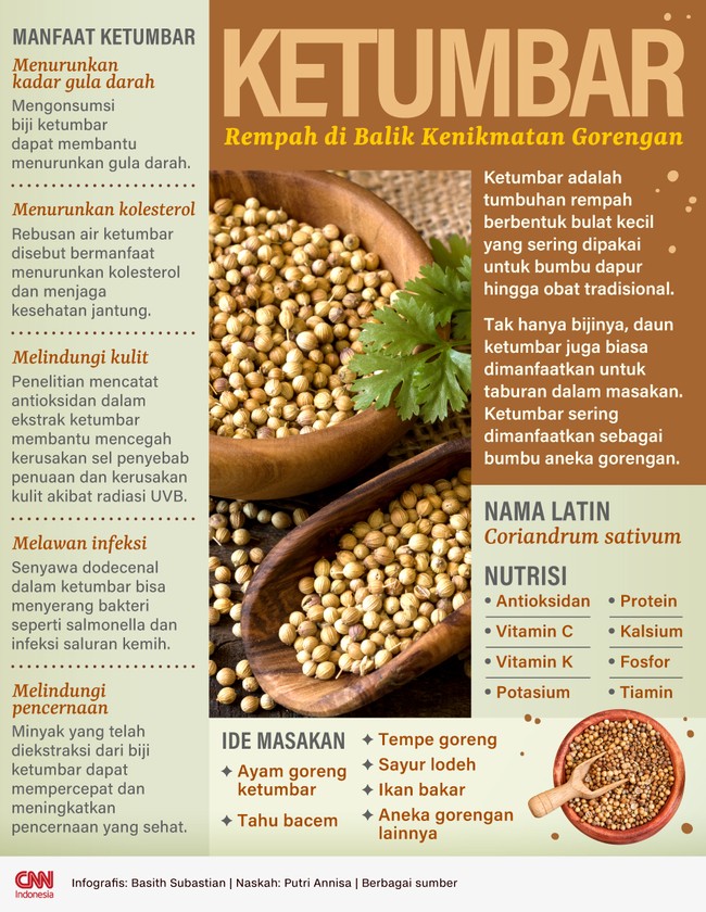 Ketumbar adalah tumbuhan rempah berbentuk bulat kecil yang sering dipakai untuk bumbu dapur hingga obat tradisional.