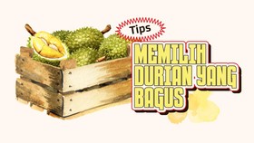 INFOGRAFIS: Tips Memilih Durian yang Bagus