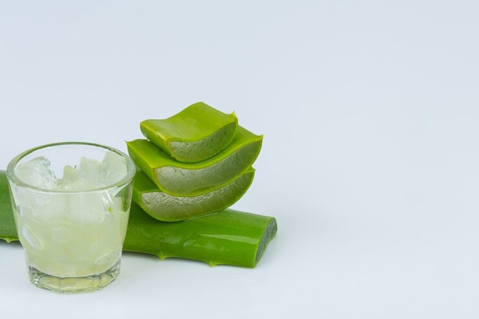 Tanaman Obat yang Cocok Menanamnya di Rumah