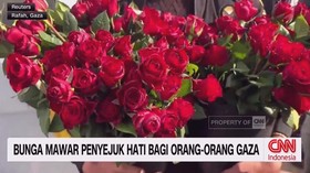 VIDEO: Bunga Mawar Penyejuk Hati Bagi Orang-Orang Gaza