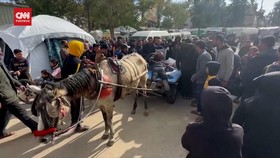 VIDEO: Korban Luka Dibawa Gerobak Kuda ke RS Eropa di Khan Younis