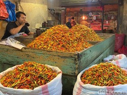 Harga Cabai di Surabaya Turun Drastis, Cabai Besar Masih Mahal