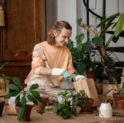 6 Tanaman Herbal yang Cocok Ditanam di Rumah, Banyak Manfaat dan Perawatannya Mudah!