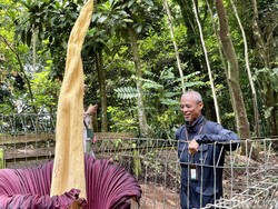 Kisah Dicky yang Rela Begadang Demi Meneliti Pesona Flora-Fauna Tahura