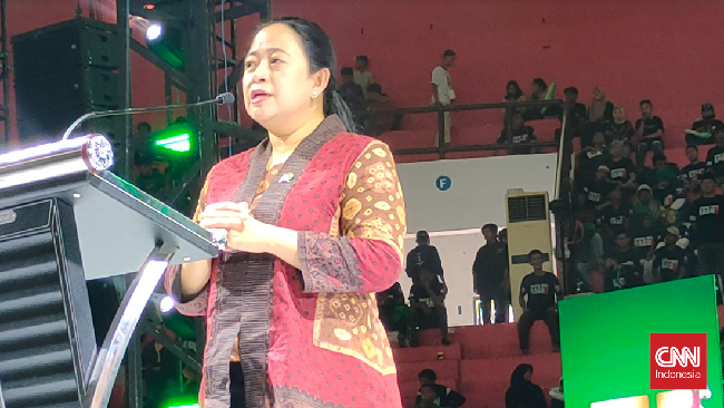 Menurut Puan, pernyataan Jokowi erat kaitannya dengan pemberian dukungan kepada pasangan nomor urut 2 Prabowo Subianto-Gibran Rakabuming Raka.