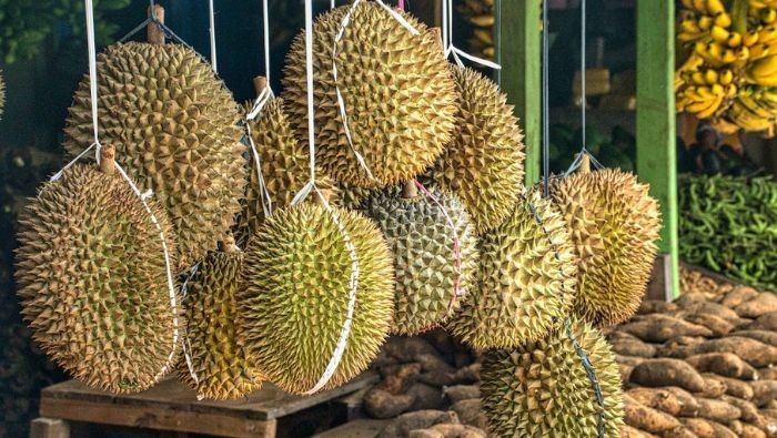 Dijuluki Raja Buah, Ini 6 Mitos Soal Durian yang Masih Beredar/Foto: Pexels/Tom Fisk