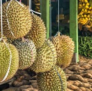 Dijuluki Raja Buah, Ini 6 Mitos Soal Durian yang Masih Banyak Beredar