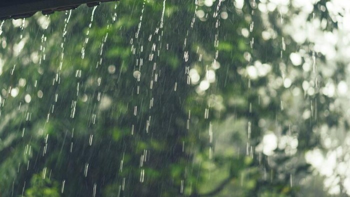 Ilustrasi hujan turun/Foto: freepik.com/kireyonok_yuliya