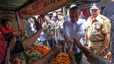 Jokowi Tinjau Pangan di Sulbar, Klaim Harga Stabil Dibandingkan Jawa