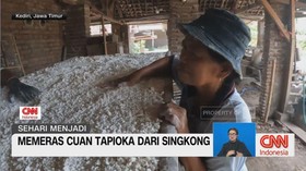 VIDEO: Sehari Menjadi Produsen Tepung Tapioka !!