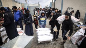 UNRWA Minta Israel Cabut Larangan Konvoi Makanan Masuk ke Gaza Utara