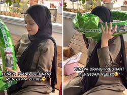 Viral Ibu Hamil Ngidam Bau Ban Motor Baru